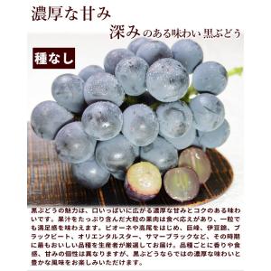 ぶどう 黒ぶどう 白ぶどう 2種セット 詰め合...の詳細画像3