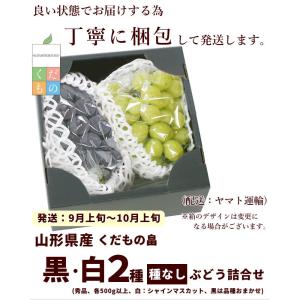 ぶどう 黒ぶどう 白ぶどう 2種セット 詰め合...の詳細画像5