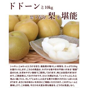 訳あり 和梨 10kg 福島県産 梨 小玉 傷...の詳細画像1