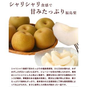 訳あり 和梨 10kg 福島県産 梨 小玉 傷...の詳細画像2