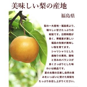 訳あり 和梨 10kg 福島県産 梨 小玉 傷...の詳細画像3