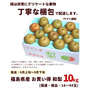訳あり 和梨 10kg 福島県産 梨 小玉 傷...の詳細画像4