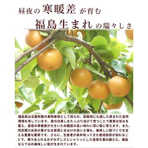 【SALE/10%引き】梨 幸水梨 福島県産 ...の詳細画像2