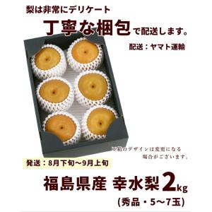 【SALE/10%引き】梨 幸水梨 福島県産 ...の詳細画像3