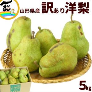 洋梨 山形県産 訳あり 5kg ご家庭用 品種・玉数おまかせ 規格外 傷あり 果物 フルーツ お得用 お取り寄せ