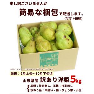 洋梨 山形県産 訳あり 5kg ご家庭用 品種...の詳細画像2