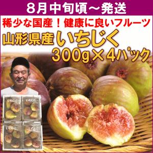 いちじく 無花果 山形県産「いちじく」 ３００ｇ（２〜４個）×４パック