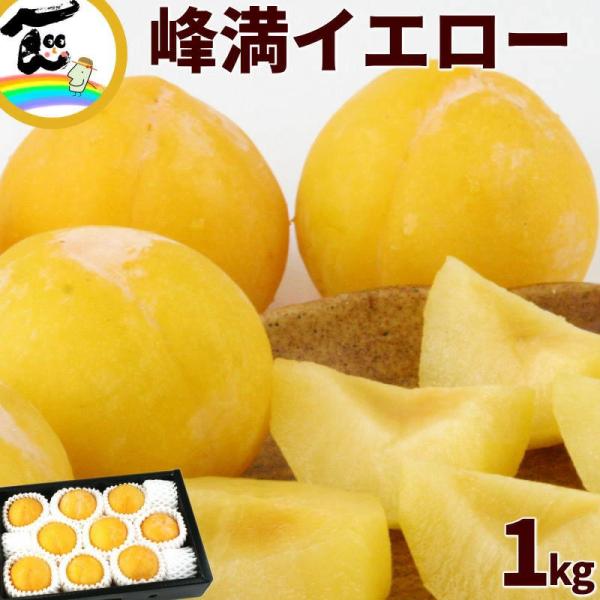 プラム 山形県産 峰満イエロー 1kg 9〜11個 秀品 9月中旬頃から発送 送料込