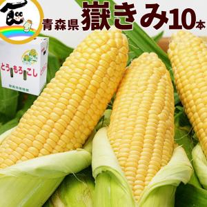 青森県産 嶽きみ だけきみ とうもろこし A品 10本 甘い 高糖度 朝採れ 産地直送 夏限定 旬 野菜 ギフト 贈答用