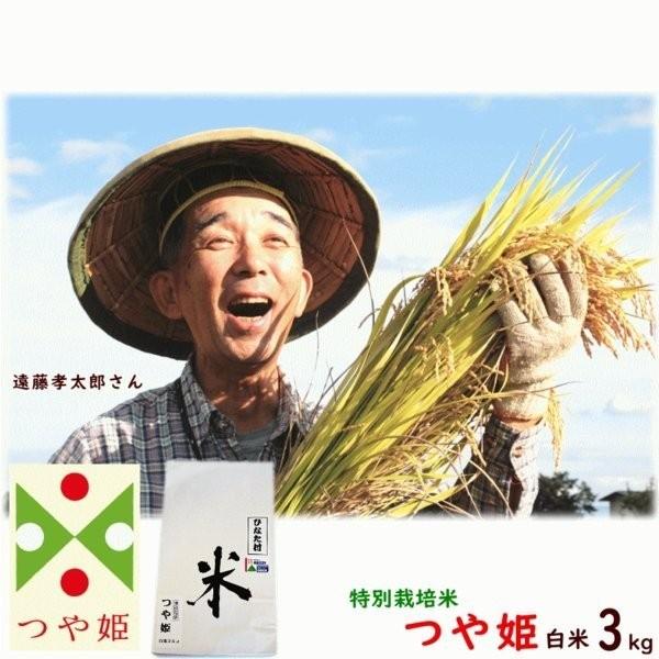 こめ 山形県長井市 遠藤孝太郎さん 特別栽培米 つや姫 白米3kg 送料込 米