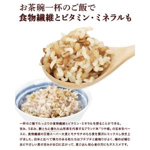 レトルト パックごはん スーパー大麦 もち麦・...の詳細画像1