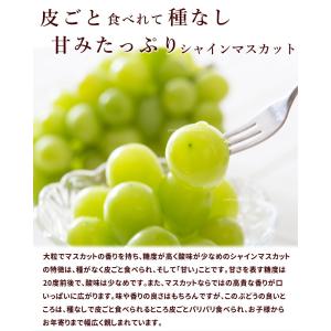 【SALE/10%引き】フルーツ詰合せ ギフト...の詳細画像2