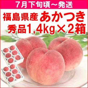 もも 桃 7月下旬頃から発送・福島県飯坂町産「あかつき」 秀...