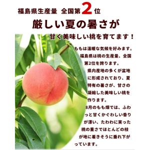 【がんばろうふくしま】福島県産 白桃 ミスピー...の詳細画像2