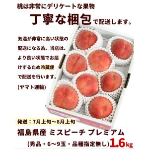 【がんばろうふくしま】福島県産 白桃 ミスピー...の詳細画像3