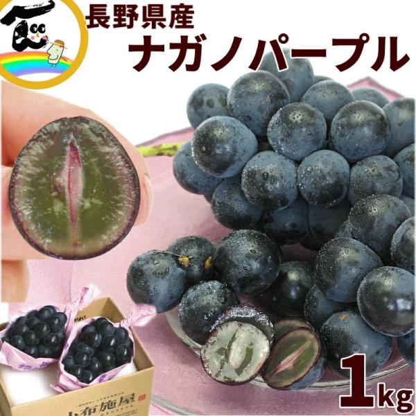 ぶどう 長野県産 ナガノパープル 秀品 約500g×2房 計1kg 種なしぶどう ギフト 9月上旬頃...