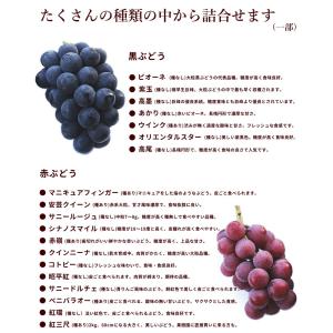 ぶどう 山形県産 3色詰め合わせ 2kg 秀品...の詳細画像2