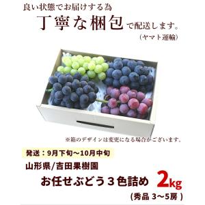 ぶどう 山形県産 3色詰め合わせ 2kg 秀品...の詳細画像5