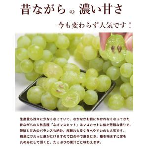 ネオマスカット ぶどう 山形県産 秀品 2kg...の詳細画像1
