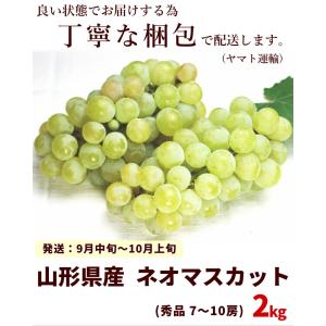 ネオマスカット ぶどう 山形県産 秀品 2kg...の詳細画像2