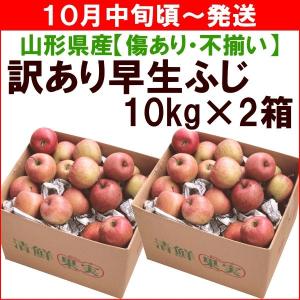 りんご 訳あり １０月中旬頃から発送・山形県産「訳あり早生ふじ」 ２０ｋｇ（１０ｋｇ×２箱） 送料込