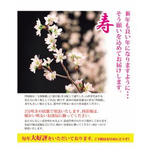 【年内お届け】啓翁桜 山形 正月桜 約60〜8...の詳細画像2