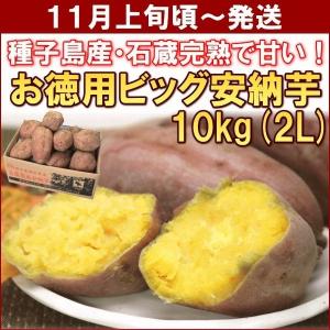 さつまいも 安納芋 鹿児島県種子島産「お徳用ビッグ安納芋」 １０ｋｇ（２Ｌサイズ）