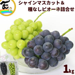 ぶどう 山形県産 ピオーネ シャインマスカット 詰合せ 秀品 各500g×1房 計1kg 食べ比べ フルーツ 産地直送 お取り寄せ ギフト