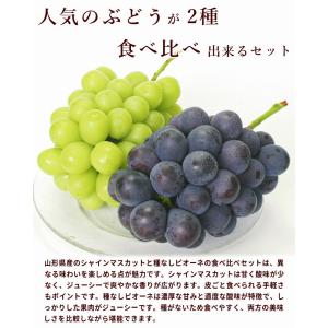ぶどう 山形県産 ピオーネ シャインマスカット...の詳細画像1