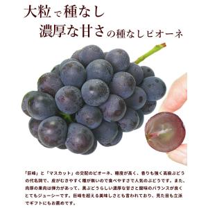 ぶどう 山形県産 ピオーネ シャインマスカット...の詳細画像3
