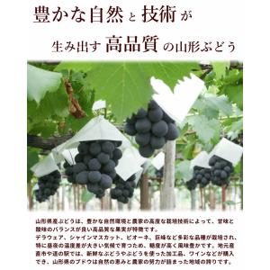 ぶどう 山形県産 ピオーネ シャインマスカット...の詳細画像4