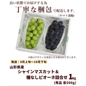 ぶどう 山形県産 ピオーネ シャインマスカット...の詳細画像5
