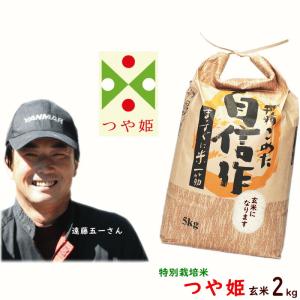 わらび 山菜 山形県小国町産 わらびの塩漬 1kg 送料込 : さくらんぼ