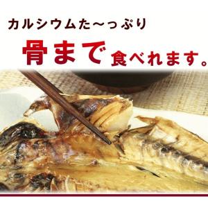 まるごとくん 4種各1枚 あじ さんま かます...の詳細画像4