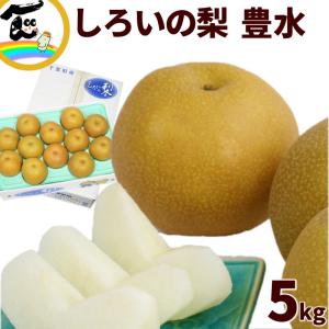 なし 梨 和梨 豊水 千葉県産 白井の梨 豊水 5kg 12〜18個 ほうすい 8月下旬頃から発送 送料込｜yamagata-kikou