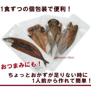 まるごとくん 5種各1枚 あじ さんま かます...の詳細画像5