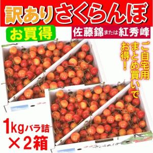 セール さくらんぼ 訳あり まとめ買い 佐藤錦 紅秀峰 山形県産 訳ありさくらんぼ 1kg×2箱 バラ詰 丸秀品 品種おまかせ 送料込