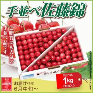 さくらんぼ さとうにしき 佐藤錦 ギフト 6月中旬頃から発送 山形県産佐藤錦 手並べ品 1kg 秀Lサイズ以上 送料込