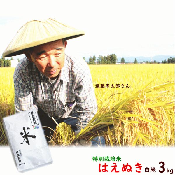 こめ 米 山形県長井市 遠藤孝太郎さん 特別栽培米はえぬき 白米3kg 送料込