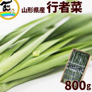 予約商品 送料無料 北海道 春野菜 天然 行者にんにく 500g 野菜 行者