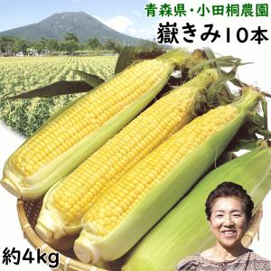 とうもろこし だけきみ 青森県小田桐農園 嶽きみ 10本 約4kg 秀L・2Lサイズ 8月中旬頃から発送 送料込