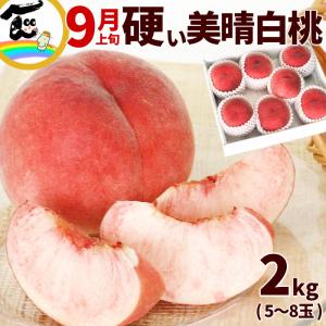 もも 桃 かたい 硬い桃 山形県産 美晴白桃 秀品 2kg 5〜８個