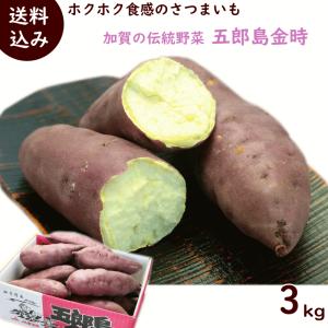 さつまいも 石川県産「五郎島金時」 3kg(10〜13本)...