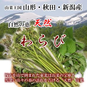 天然山菜 わらび 500ｇ