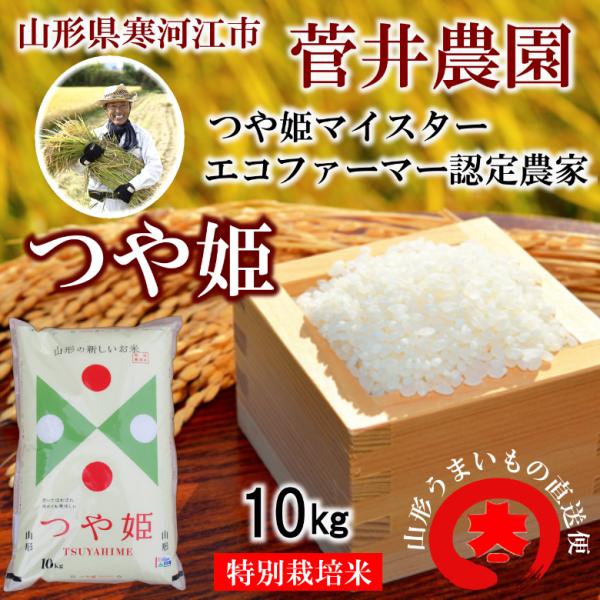 つや姫　特別栽培米　１０kg　山形県寒河江市“菅井農園”