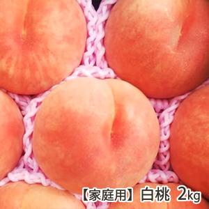 【家庭用】白桃 2kg(6〜8玉)/株式会社 松...の商品画像