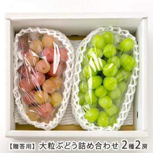 【贈答用】大粒ぶどう詰め合わせ 2種2房（シャインマスカット 1房・大粒ぶどう 1房）（1房あたり600g以上）/Farmおとらふ/後払い決済不可/送料無料