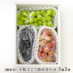 【贈答用】大粒ぶどう詰め合わせ 3種3房（シャインマスカット 1房・大粒ぶどう 2房）（1房あたり600g以上）/Farmおとらふ/後払い決済不可/送料無料