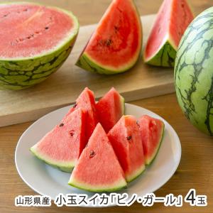 山形県産 小玉スイカ「ピノ・ガール」4玉（1玉あたり1.7kg以上）/木村フルーツ/後払い決済不可/送料無料