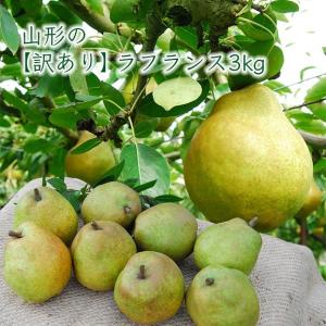 山形の《訳あり》ラフランス3kg｜yamagata-umaies